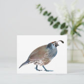 Q. Quail / carte postale (Debout devant)