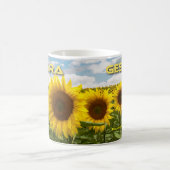 QC NESARA/GESARA MOK H (Center)