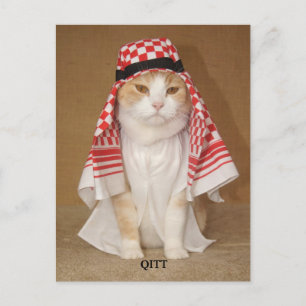 QITT/CAT BRIEFKAART