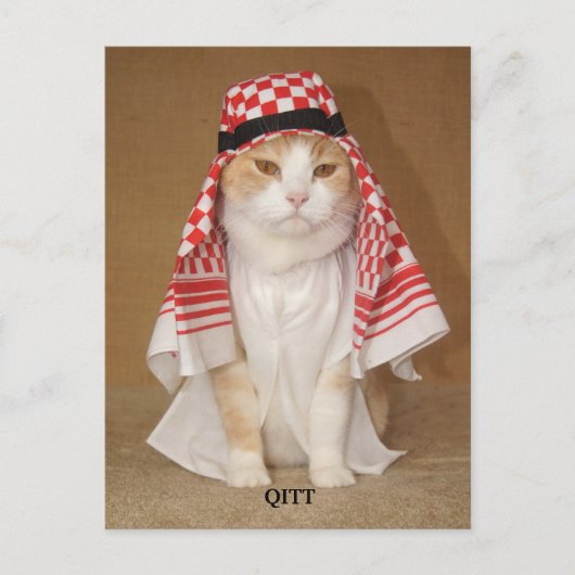 QITT/CAT BRIEFKAART (Voorkant)