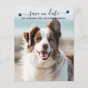 QR Code Dog Wedding Pet Foto bewaart datumkaarten