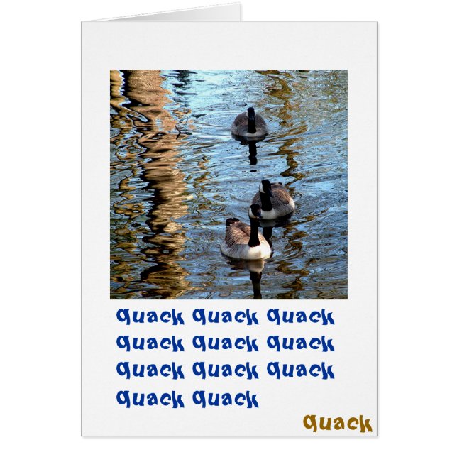 Quack Quack Quack (Voorkant)