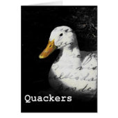 Quackers (Devant)