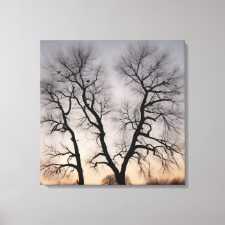 Quadro Árvore seca no deserto Canvas Afdruk