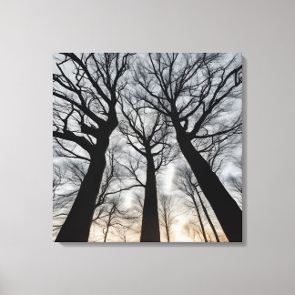 Quadro Árvore seca no deserto Canvas Afdruk