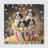 Quads Cavalier Spaniel Puppies in de popcorn, (Voorkant)