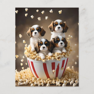 Quads Cavalier Spaniel Puppies in de popcorn, Flyer
