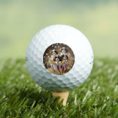 Quads Cavalier Spaniel Puppies in de popcorn, Golfballen (Insitu Shirt)