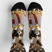 Quads Cavalier Spaniel Puppies in de popcorn, Sokken (Top)