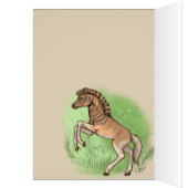 Quagga "Embrace the moment" (Binnen (Links))