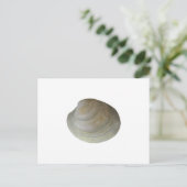 Quahog Clam (zonder titel) Briefkaart (Staand voorkant)