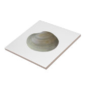 Quahog Clam (zonder titel) Tegeltje (Zijkant)