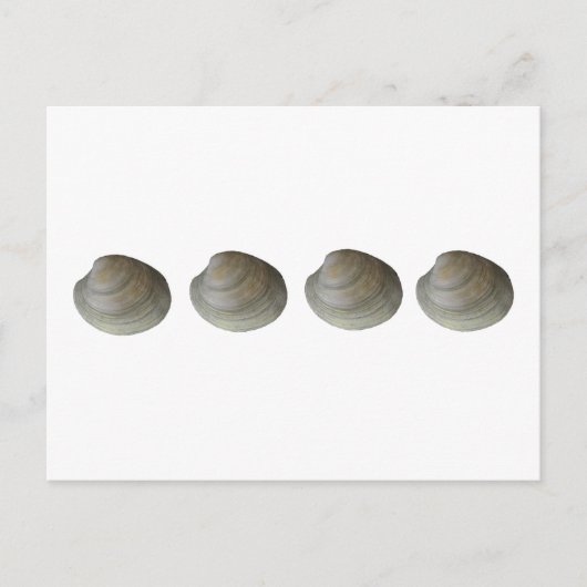 Quahog Clams Logo Briefkaart (Voorkant)