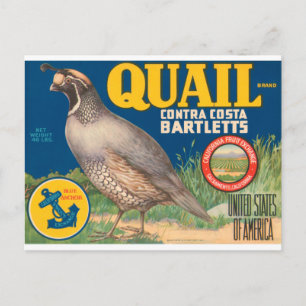 Quail Brand Contra Costa Bartletts Briefkaart