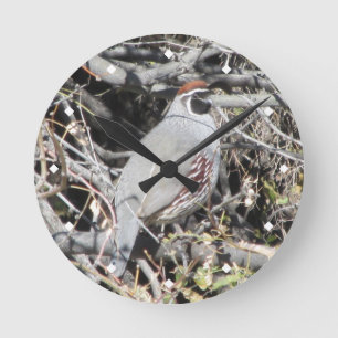 Quail Clock van Male Gambel Ronde Klok