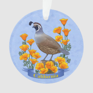 Quail d'oiseaux de l'État de Californie et coqueli