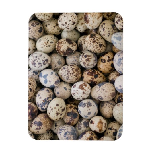 Quail Eggs, Huaraz, Cordillera Blanca, Ancash Magneet (Verticaal)