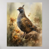 Quail Farm Animal Art Imprimer Poster (Devant)