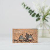 Quail visitekaartje (Staand voorkant)