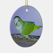 Quaker Parrot Keramisch Ornament (Rechts)