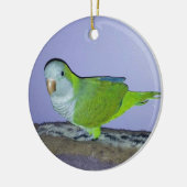Quaker Parrot Keramisch Ornament (Links)