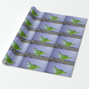 Quaker Parrot Wrapping Paper Cadeaupapier
