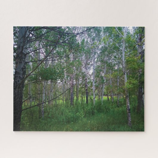 Quakies Jigsaw Puzzle (Horizontal)