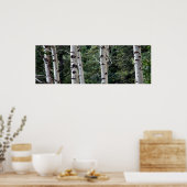 Quaking Aspen, Grand Teton National Park Poster (Keuken)