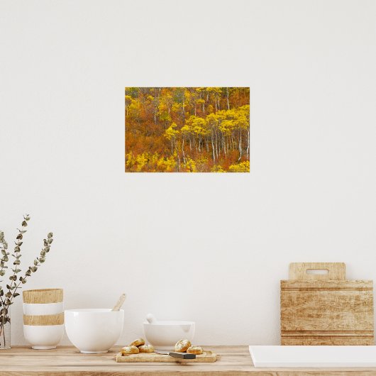 Quaking aspen grot in piekherfstkleur in 2 poster (Keuken)