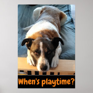Quand est le temps de jeu ? affiche de chien migno