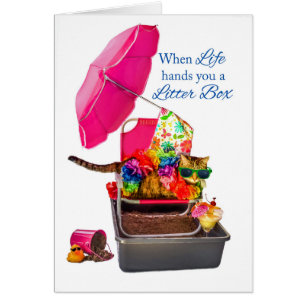 Quand la vie vous remet la poubelle chat drôle