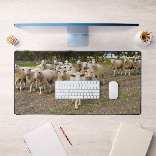 Quand Les Moutons Viennent Marcher, Mat De Bureau (Bureau 1)