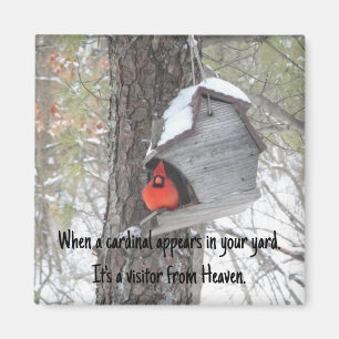 Quand un cardinal apparaît dans votre cour. Magnet