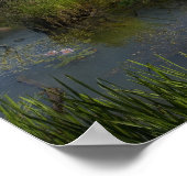 Quantarasitto - Poster (Coin)