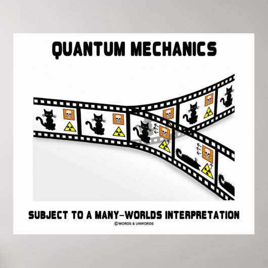 Quantum Mechanics Vele werelden Interpretatie Poster (Voorkant)