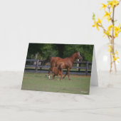 Quarter Horse and Miniature Samen Kaart (Gele Bloem)