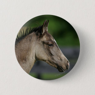 Quarter Horse Foal Headshot Ronde Button 5,7 Cm