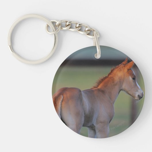Quarter Horse Foal Sleutelhanger (Voorkant)