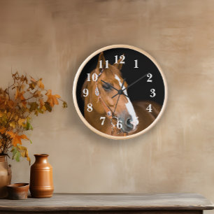 Quarter Horse Foto Bruin Wit Genummerd 