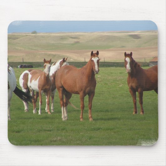 Quarter Horse Herd Muismat  (Voorkant)