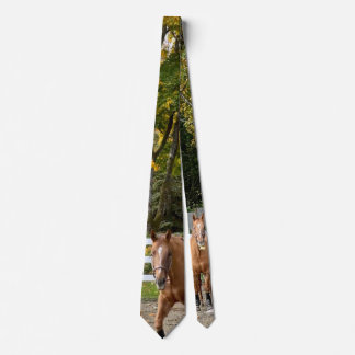 Quarter Horse Heren Das
