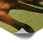 Quarter Horse Mare and Foal Standing Poster (Hoek)