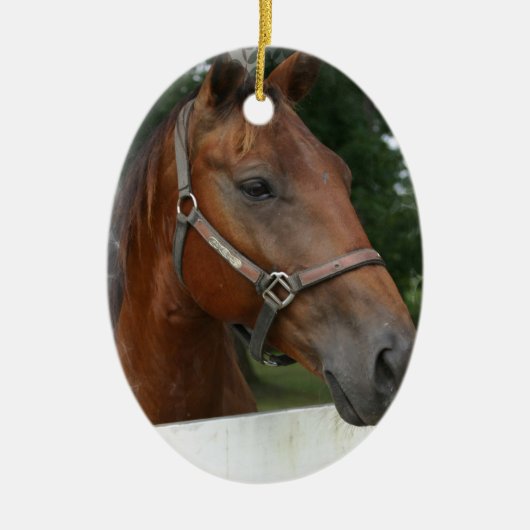 Quarter Horse Photo Ornament (Voorkant)