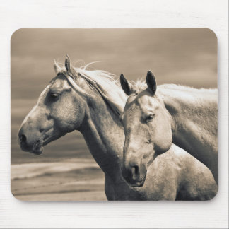 Quarter Horses In Canadese Prairie Muismat