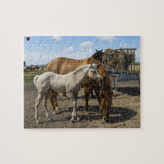 Quarter Horses Texas Legpuzzel (Horizontaal)
