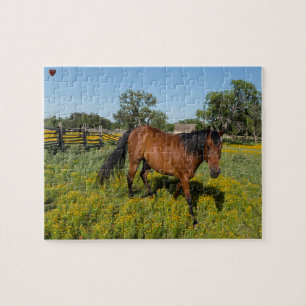 Quarter Horses Texas Legpuzzel