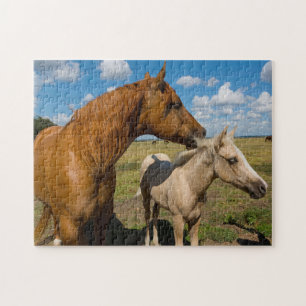 Quarter Horses Texas. Legpuzzel