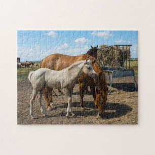 Quarter Horses Texas. Legpuzzel