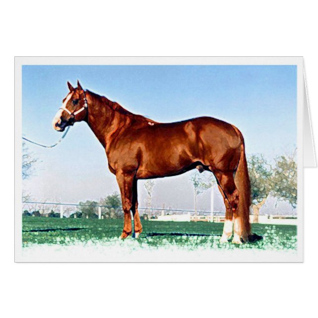 Quarter-paard (Voorkant Horizontaal)
