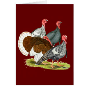 Quartet de Turquie rare